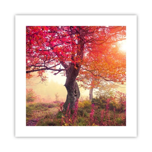 Póster - Un frenesí de floración - 40x40 cm