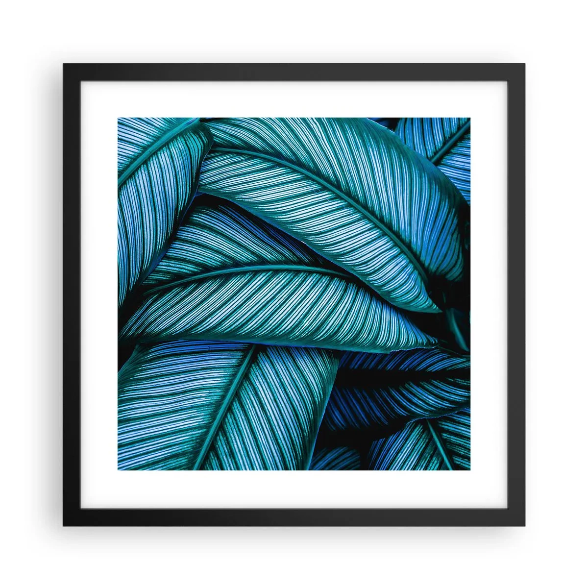 Póster en marco negro - Líneas de vida - 40x40 cm