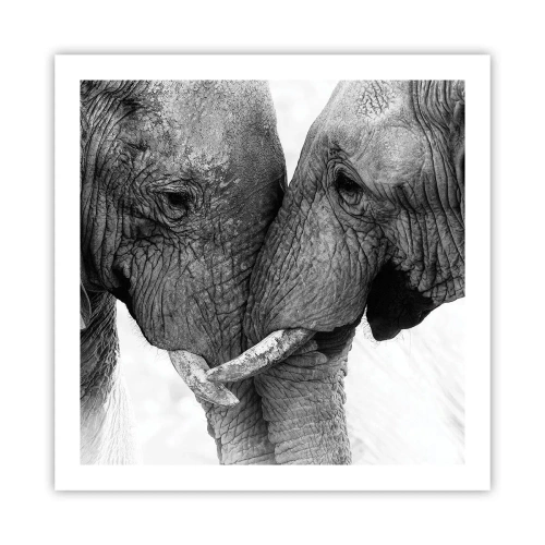 Póster - Una confesión sincera - 60x60 cm