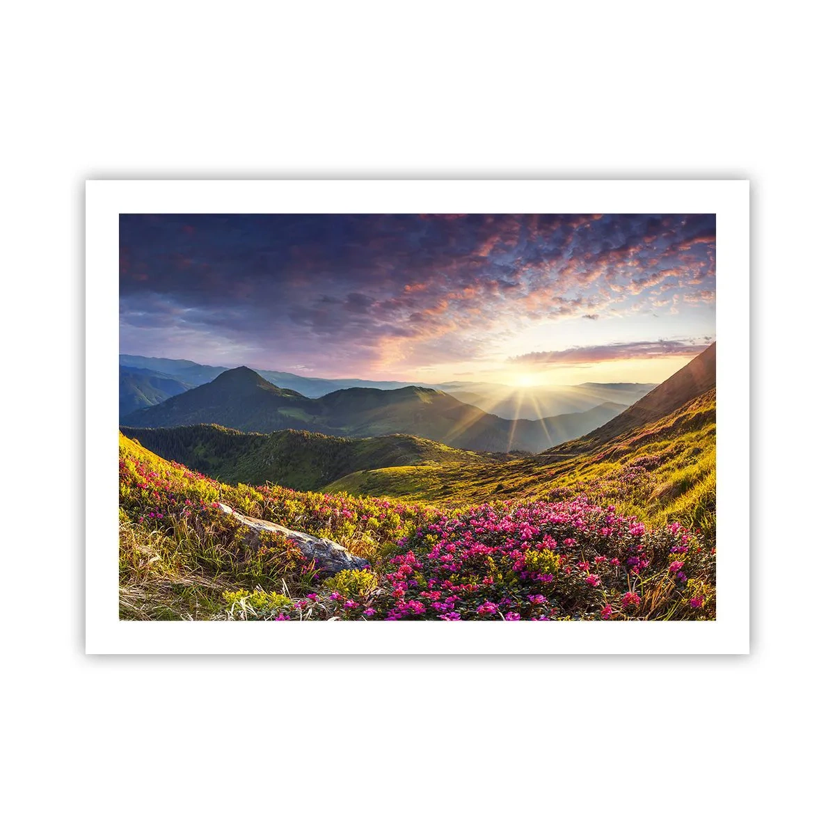 Póster - La frescura de una mañana de montaña - 70x50 cm