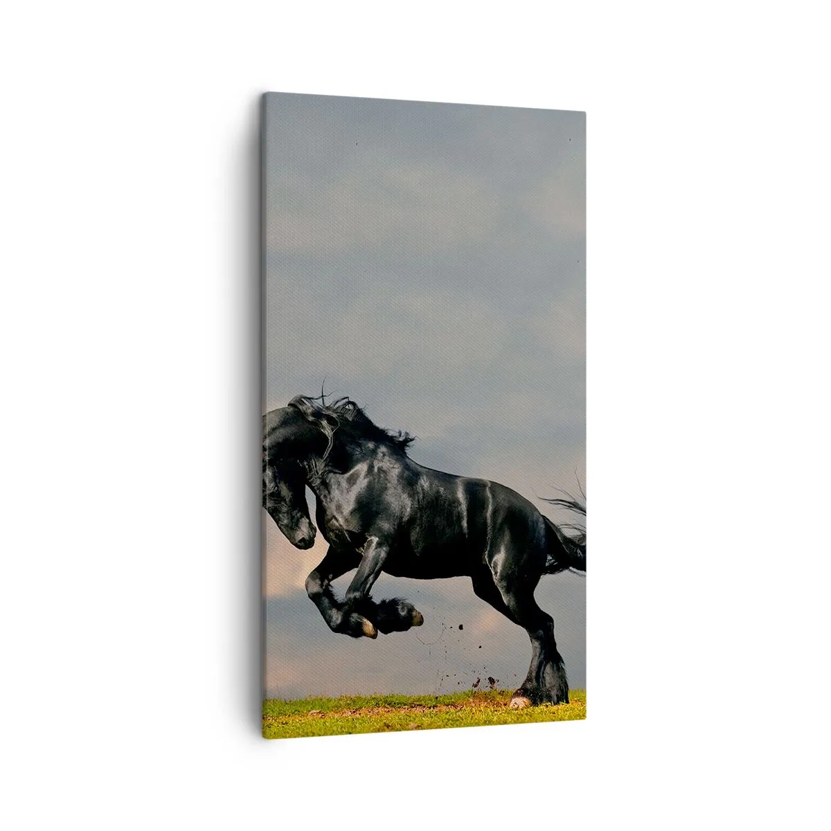 Cuadro sobre lienzo - Impresión de Imagen - Hermoso y libre - 45x80 cm