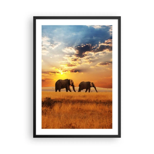 Póster en marco negro - Elefantes caminando bajo el resplandor del sol poniente - 50x70cm - Un paseo en familia - Decoración de pared moderna para salón y dormitorio ARTTOR