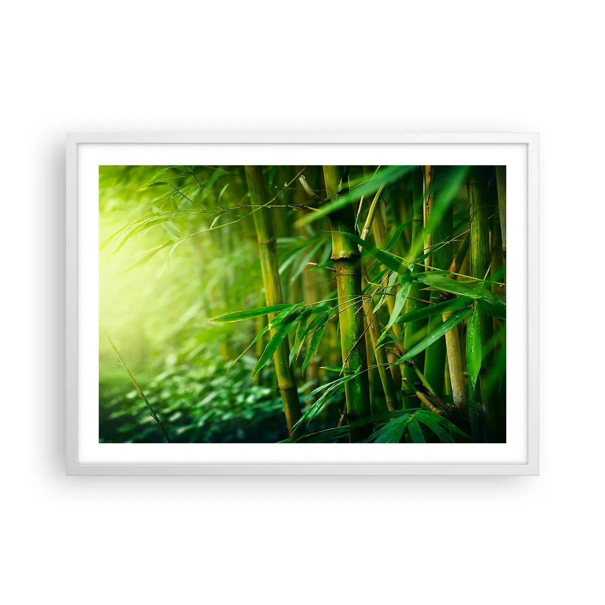 Póster en marco blanco - Conocer el propio verdor - 70x50 cm