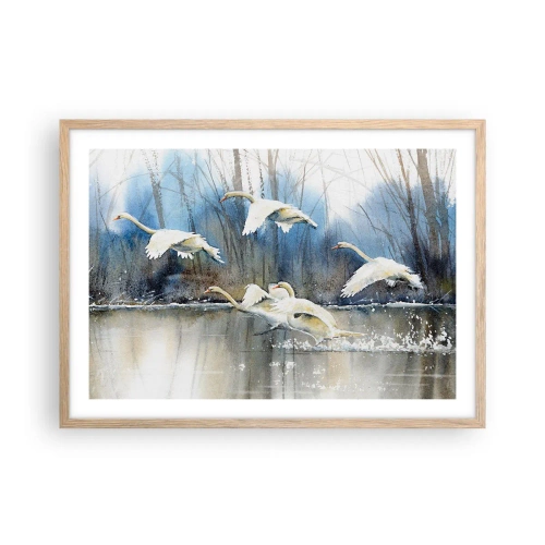 Póster en marco roble claro - Como en un cuento de cisnes salvajes - 70x50 cm