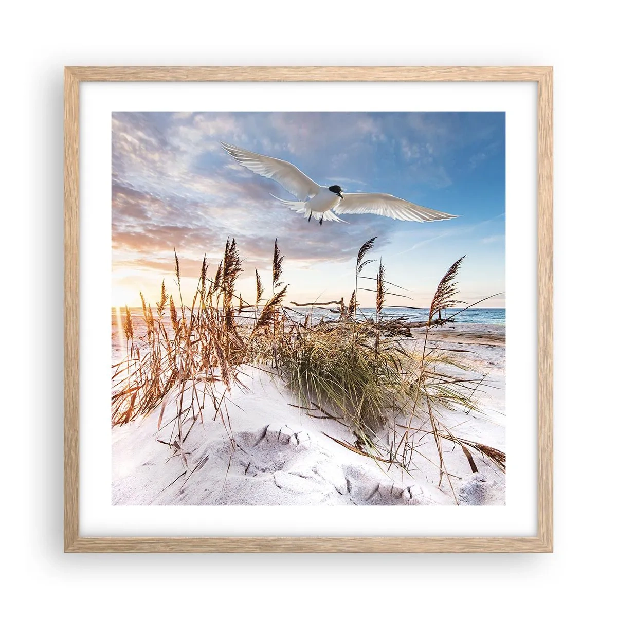 Póster en marco roble claro - Viento del mar - 50x50 cm