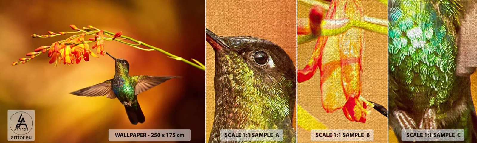 Muestra de fotomural Premium Canvas - Mensajero de la luz - colibrí, Pájaro, Naturaleza - 100x30 cm