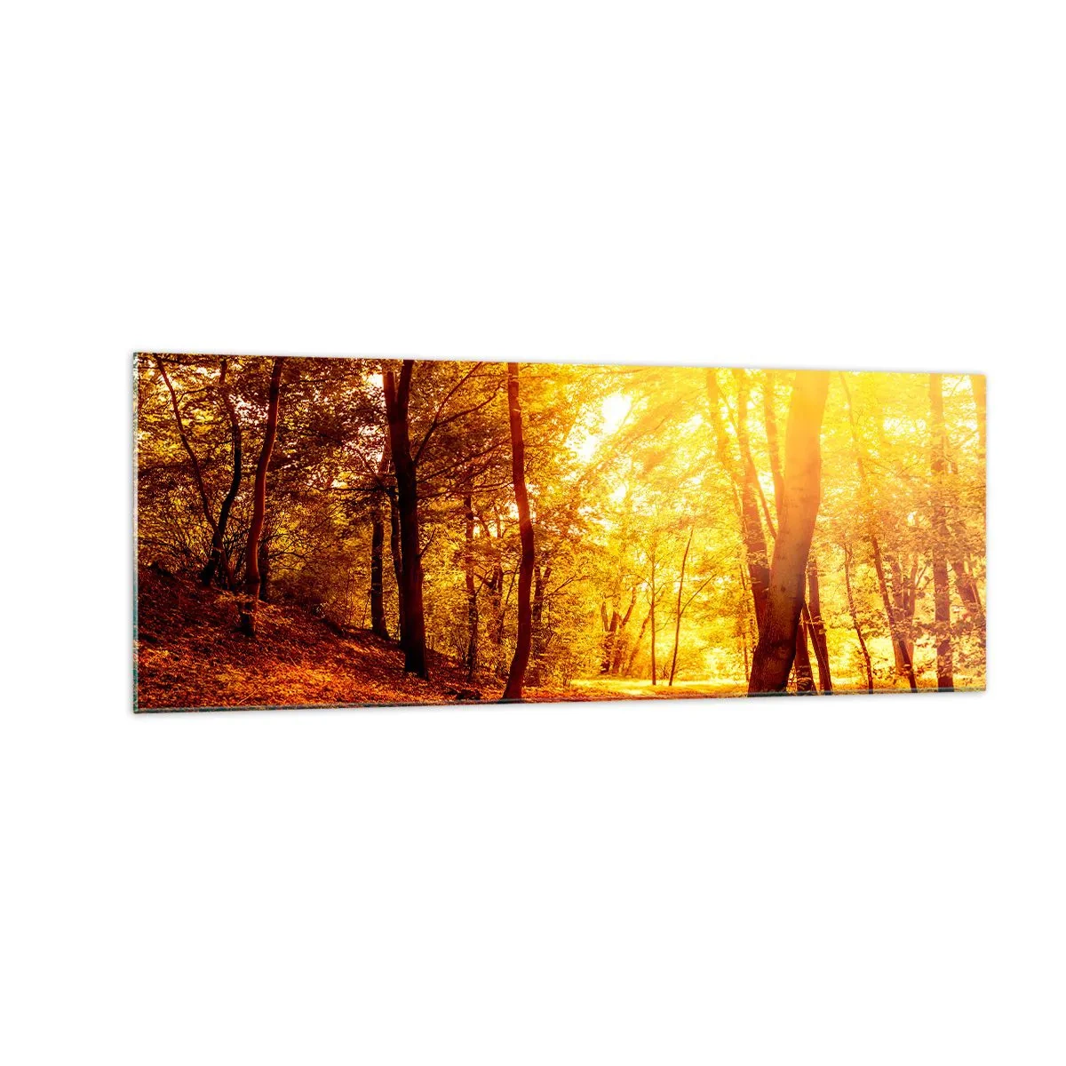 Cuadro sobre vidrio - Impresiones sobre Vidrio - Claro de otoño bajo la luz dorada del sol con un sendero forestal - 140x50cm - Hacia un claro de oro - Decoración de pared moderna para salón y dormitorio ARTTOR