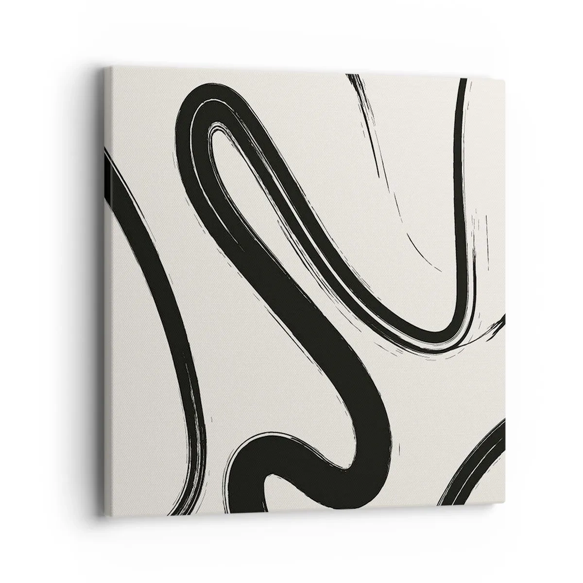 Cuadro sobre lienzo - Impresión de Imagen - Fantasía en blanco y negro - 40x40 cm