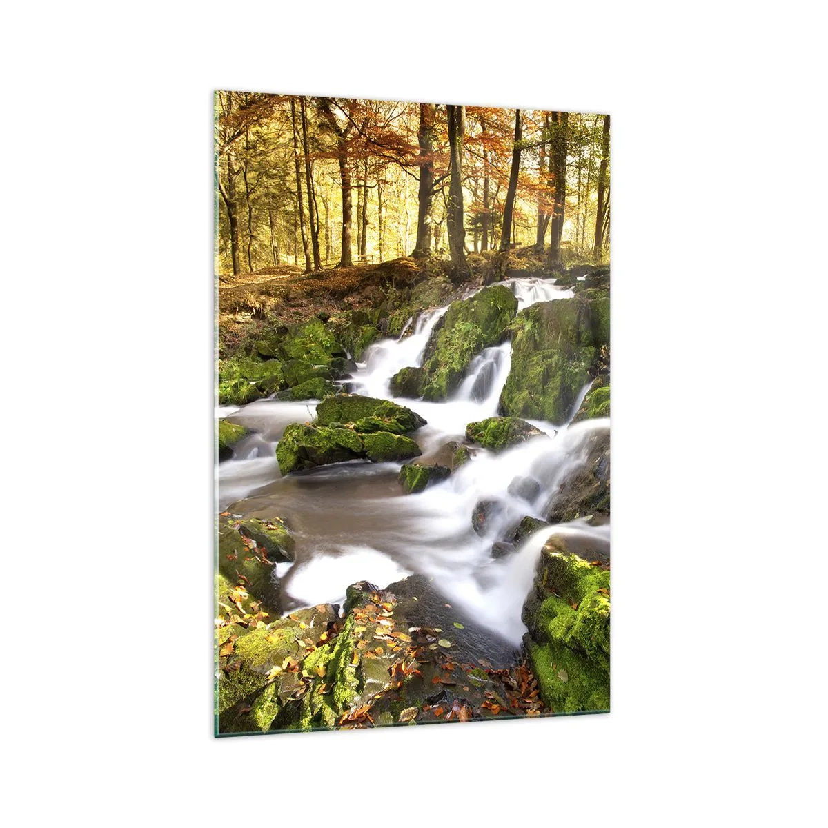Cuadro sobre vidrio - Impresiones sobre Vidrio - Un paisaje boscoso con una cascada rodeada de musgo. - 70x100cm - Atravesando el bosque otoñal - Decoración de pared moderna para salón y dormitorio ARTTOR