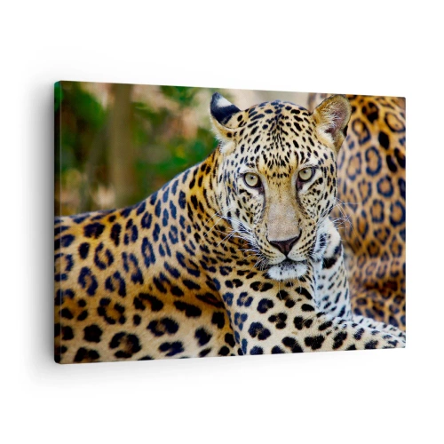 Cuadro sobre lienzo - Impresión de Imagen - Jaguar descansando en un entorno natural con fondo verde. - 70x50cm - Salvaje y tranquilo - Decoración de pared moderna para salón y dormitorio ARTTOR