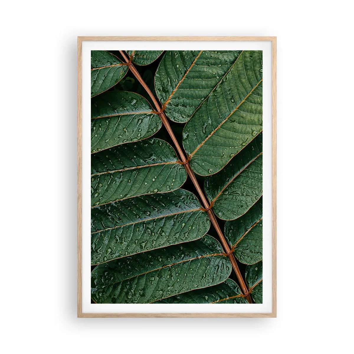 Póster en marco roble claro - En un ritmo verde - 70x100 cm