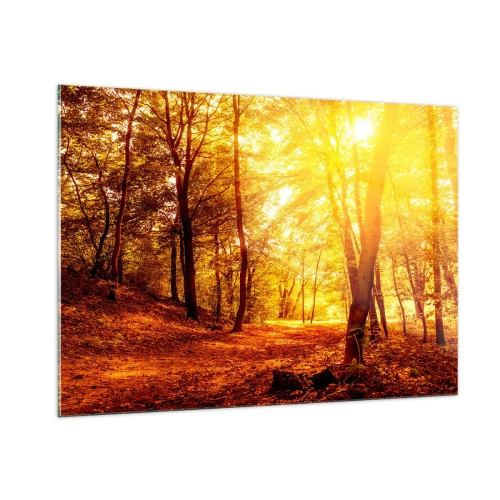 Cuadro sobre vidrio - Impresiones sobre Vidrio - Bosque otoñal iluminado por el cálido resplandor del sol. - 100x70cm - Hacia un claro de oro - Decoración de pared moderna para salón y dormitorio ARTTOR