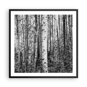 Póster en marco negro - Columnas de abedules - 60x60 cm