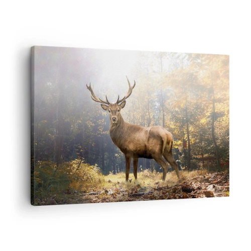 Cuadro sobre lienzo - Impresión de Imagen - Ciervos en el bosque otoñal con rayos de sol. - 70x50cm - Con toda la majestuosidad - Decoración de pared moderna para salón y dormitorio ARTTOR