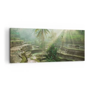 Cuadro sobre lienzo - Impresión de Imagen - Crecer bajo el sol - 100x40 cm