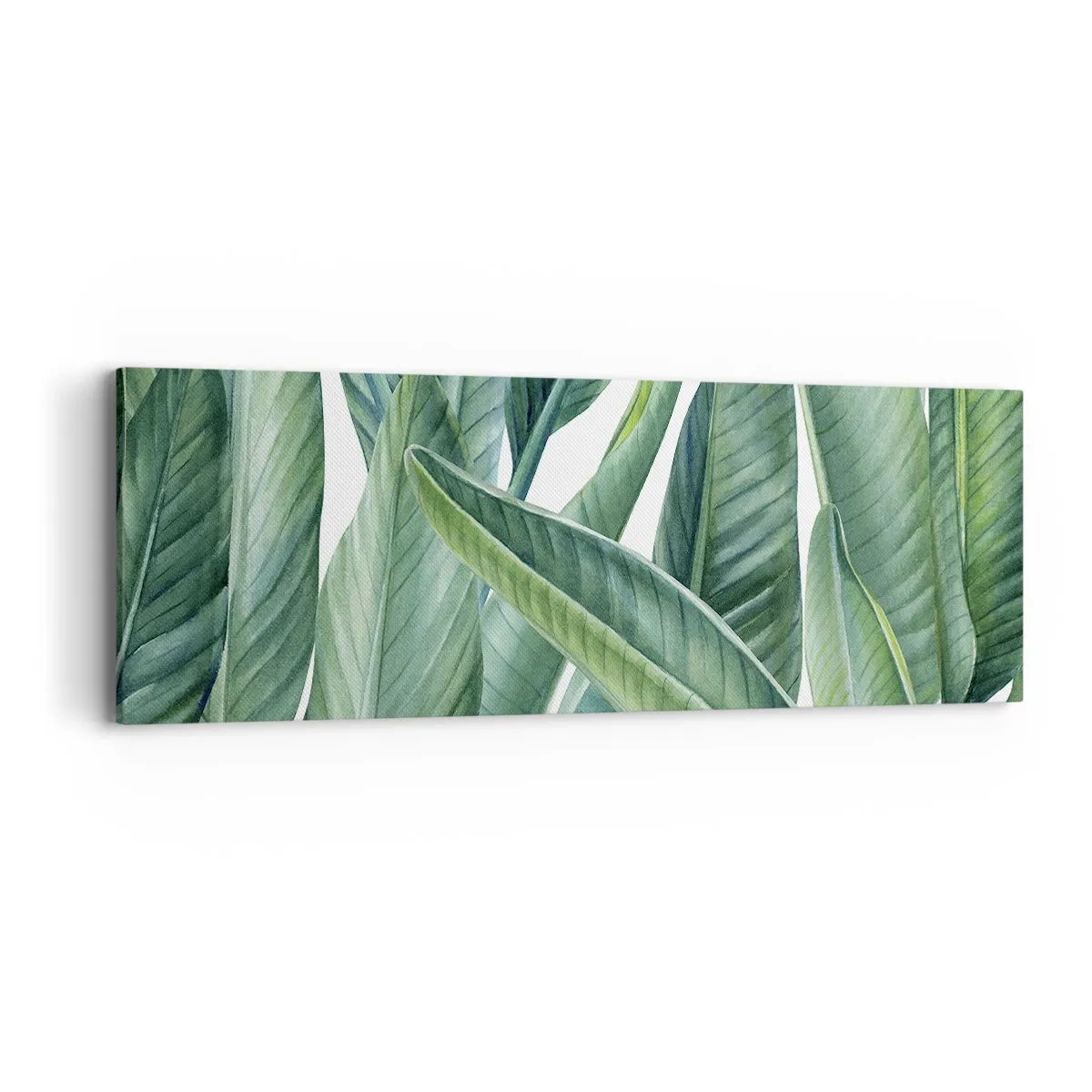 Cuadro sobre lienzo - Impresión de Imagen - Vegetación en estado puro - 90x30 cm