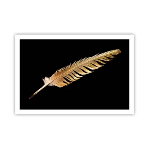 Póster - Pluma de alta calidad - 91x61 cm