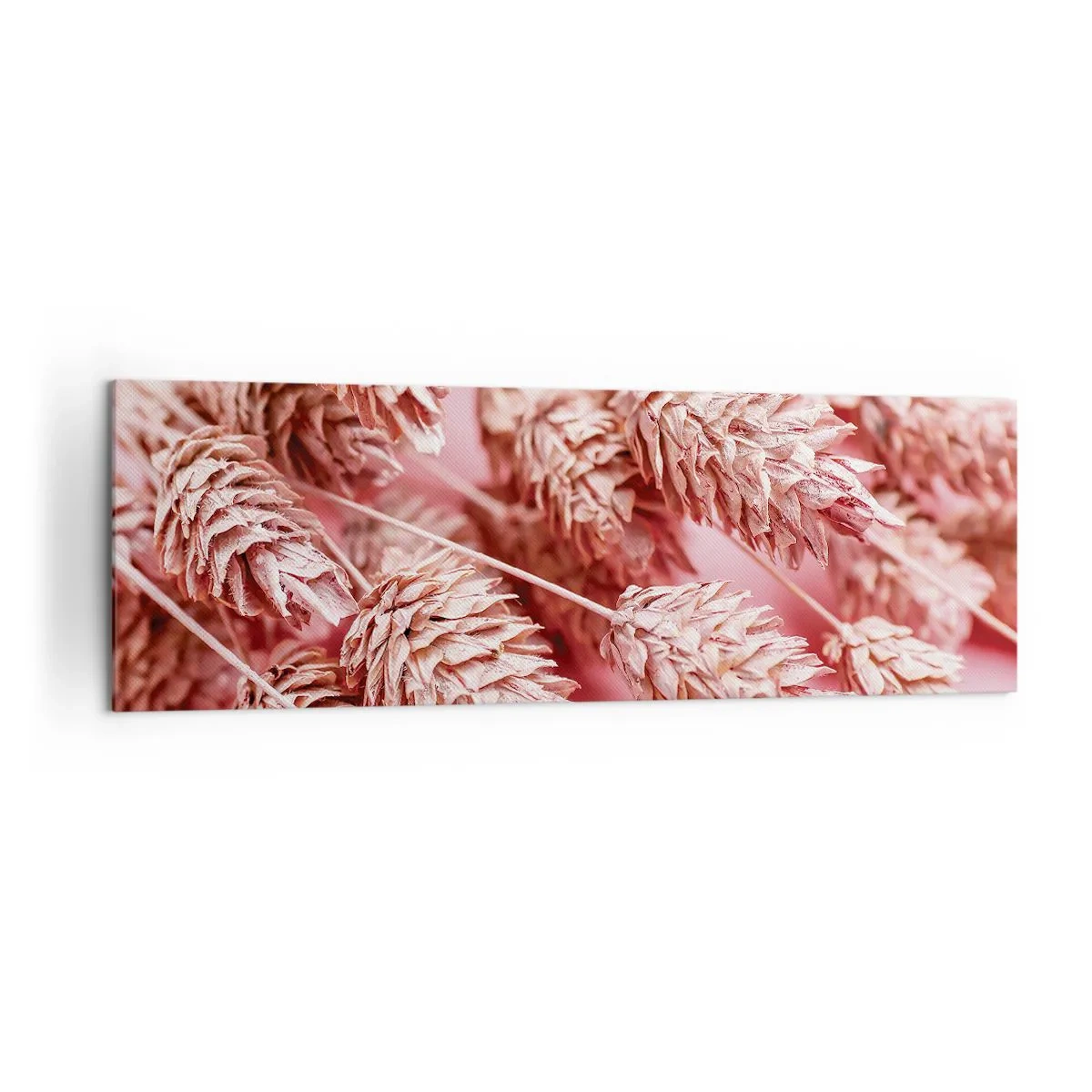 Cuadro sobre lienzo - Impresión de Imagen - Primer plano de las orejas teñidas de rosa. - 160x50cm - Estructura floral en rosa - Decoración de pared moderna para salón y dormitorio ARTTOR