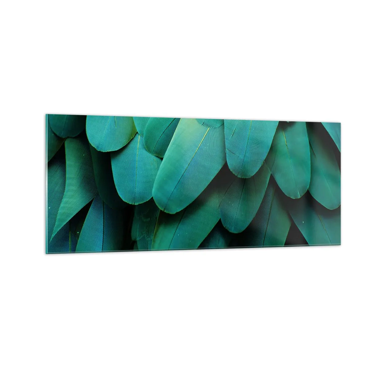 Cuadro sobre vidrio - Impresiones sobre Vidrio - La precisión de la naturaleza - 100x40 cm