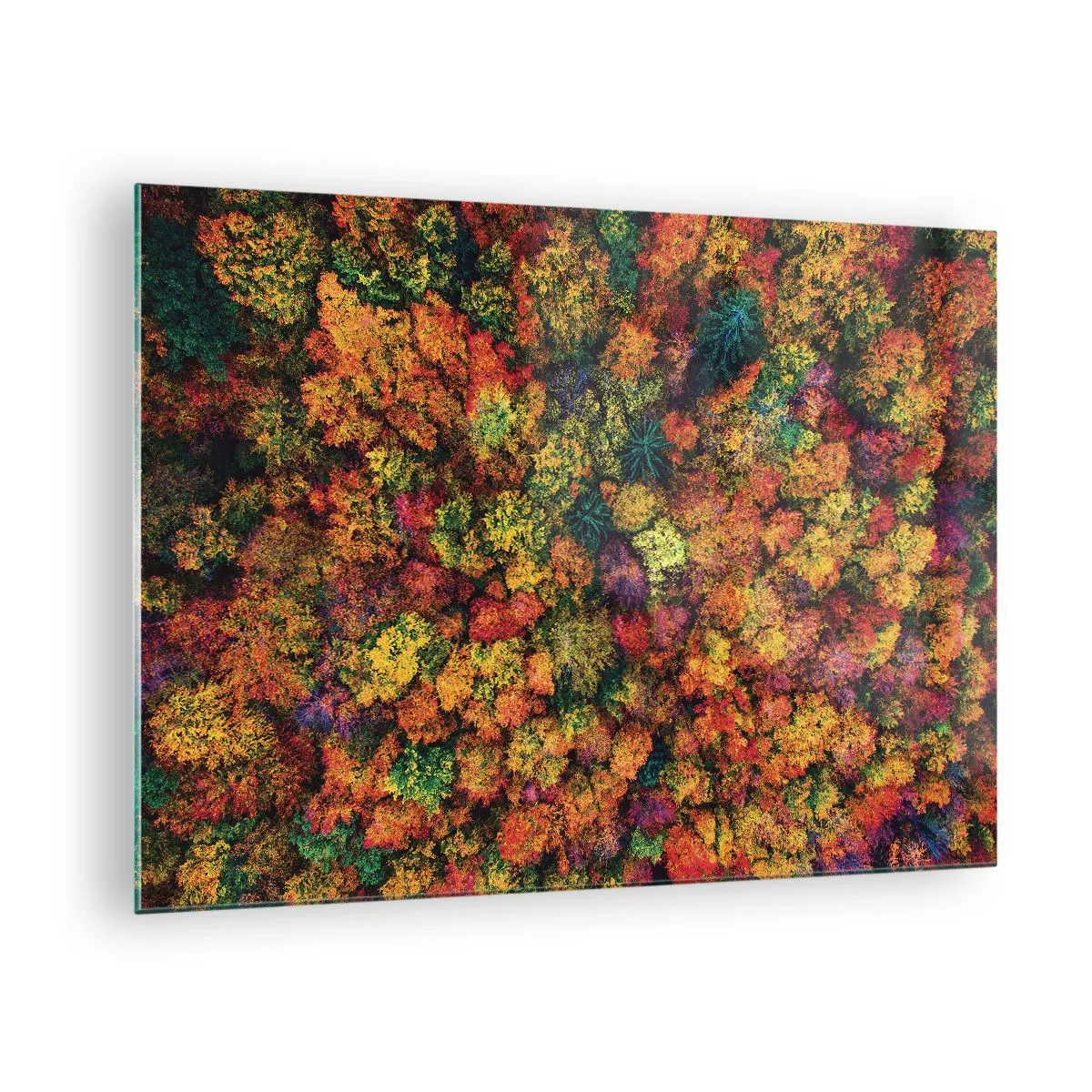 Cuadro sobre vidrio - Impresiones sobre Vidrio - Una vista de pájaro de un bosque en pleno otoño, lleno de árboles coloridos. - 70x50cm - Un ramo de árboles otoñales - Decoración de pared moderna para salón y dormitorio ARTTOR