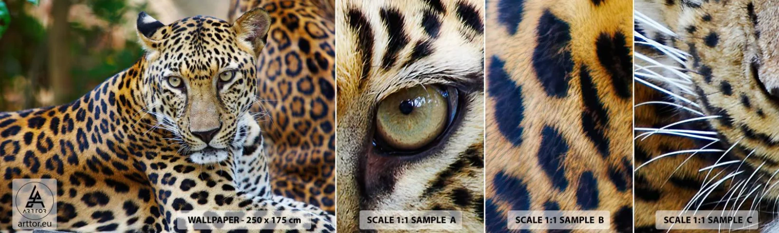 Muestra De Fotomural Standard Eco - Salvaje y tranquilo - animales, leopardo, África - 100x30 cm