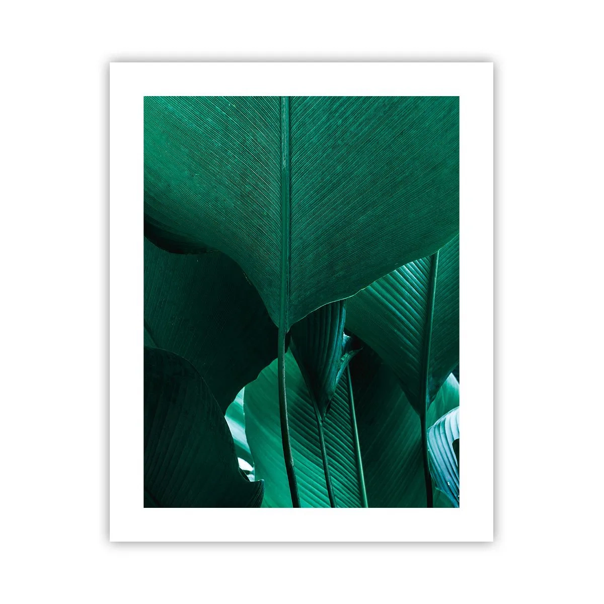 Póster - De cara a la luz - 40x50 cm