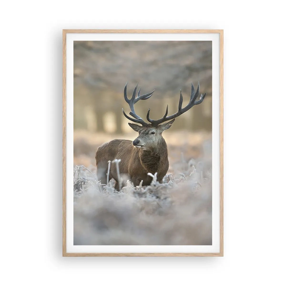 Póster en marco roble claro - Una mañana fresca - 70x100 cm