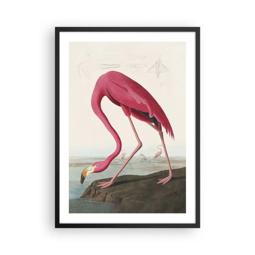 Póster en marco negro - Un flamenco rosado frente a un paisaje natural. - 50x70cm - Creación asombrosa - Decoración de pared moderna para salón y dormitorio ARTTOR