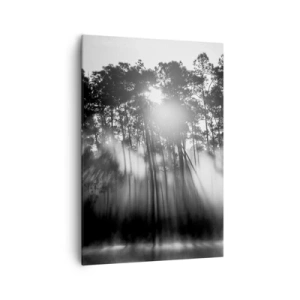Cuadro sobre lienzo - Impresión de Imagen - Bosque blanco y negro en la niebla de la mañana. - 70x100cm - Sol imparable - Decoración de pared moderna para salón y dormitorio ARTTOR