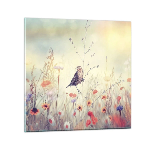 Cuadro sobre vidrio - Impresiones sobre Vidrio - Retrato de pájaro con prado de fondo - 50x50 cm