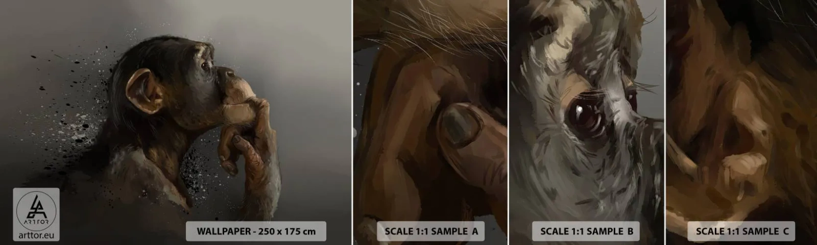 Muestra De Fotomural Standard Eco - La evolución del pensador - animales, Mono, Pedazo - 100x30 cm