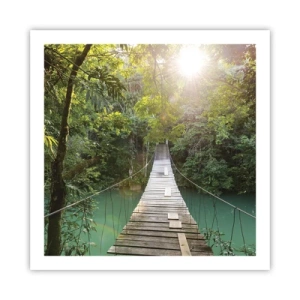 Póster - Sobre el agua azul hacia el bosque - 60x60 cm