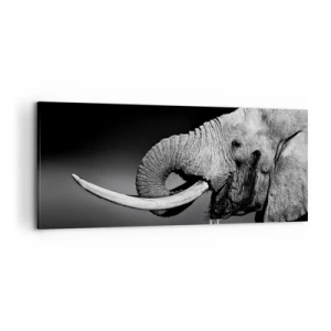 Cuadro sobre lienzo - Impresión de Imagen - Retrato en blanco y negro de un elefante de perfil. - 120x50cm - Majestuoso - Decoración de pared moderna para salón y dormitorio ARTTOR
