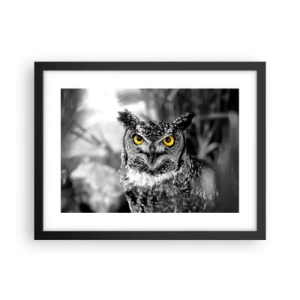 Póster en marco negro - Nada se puede ocultar - 40x30 cm