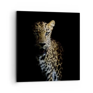 Cuadro sobre lienzo - Impresión de Imagen - Belleza oscura - 70x70 cm