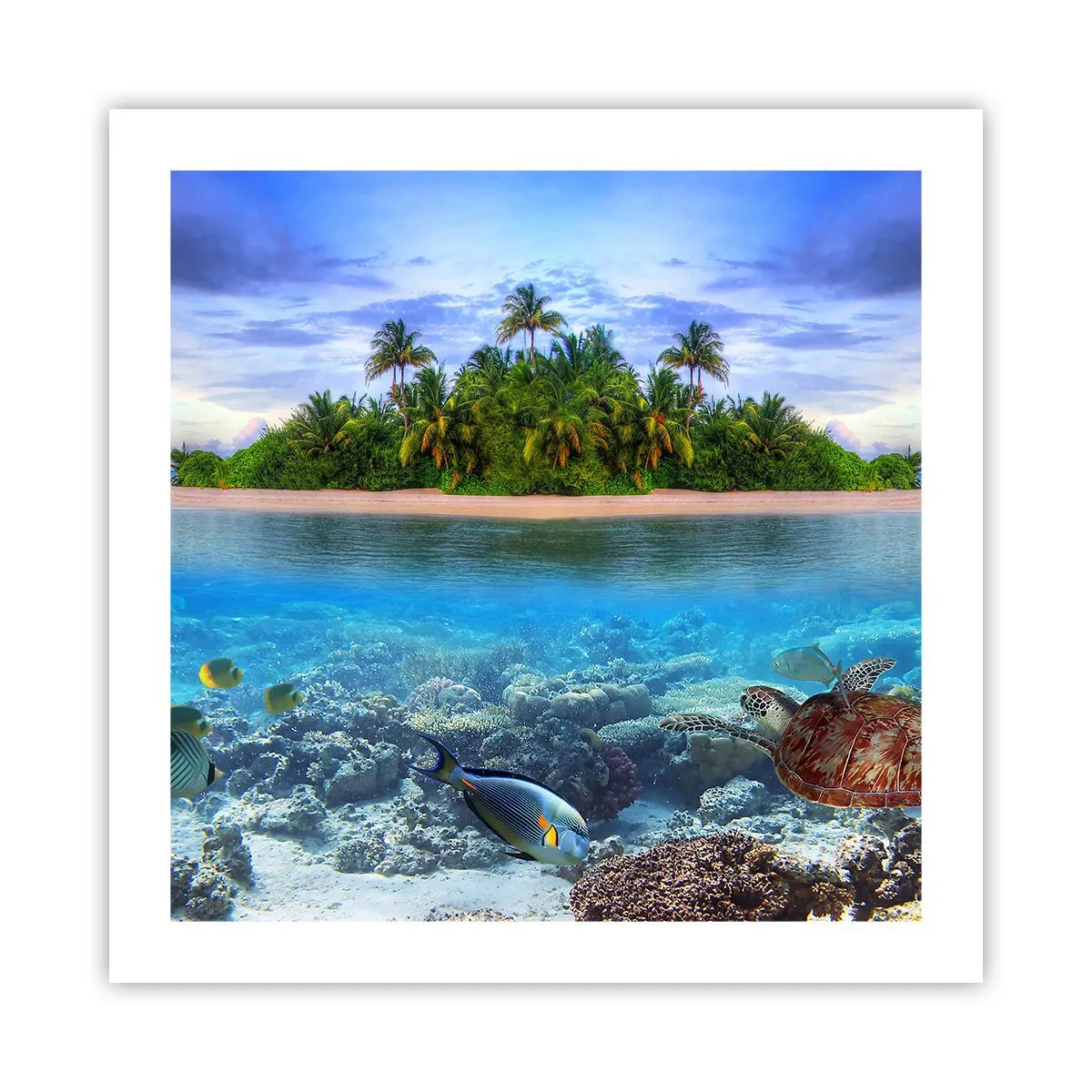 Póster - Una isla paradisíaca te invita - 50x50 cm