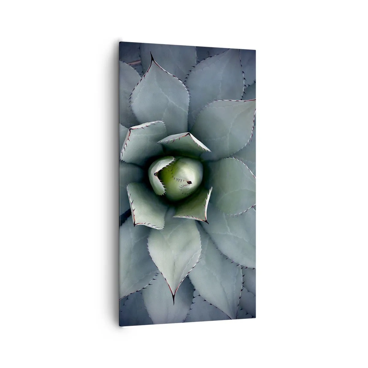 Cuadro sobre lienzo - Impresión de Imagen - Perfección natural - 65x120 cm