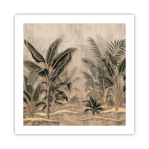 Póster - Grabados de estilo colonial - 50x50 cm