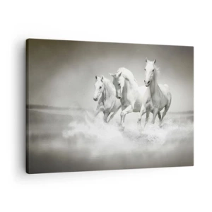 Cuadro sobre lienzo - Impresión de Imagen - Tres caballos blancos galopando por el agua - 70x50cm - Locura blanca - Decoración de pared moderna para salón y dormitorio ARTTOR