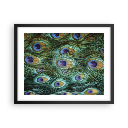 Póster en marco negro - Mirada de pavo real - 50x40 cm