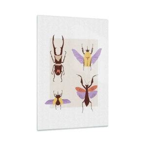 Cuadro sobre vidrio - Impresiones sobre Vidrio - El mundo de los insectos - 70x100 cm