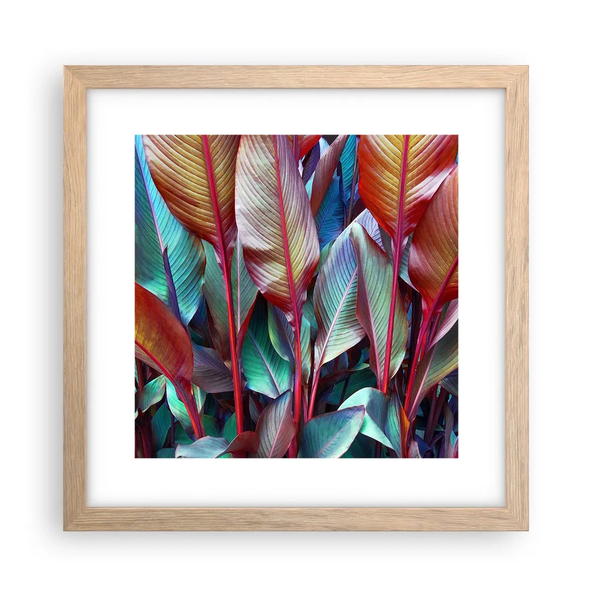 Póster en marco roble claro - Un matorral de colores - 30x30 cm