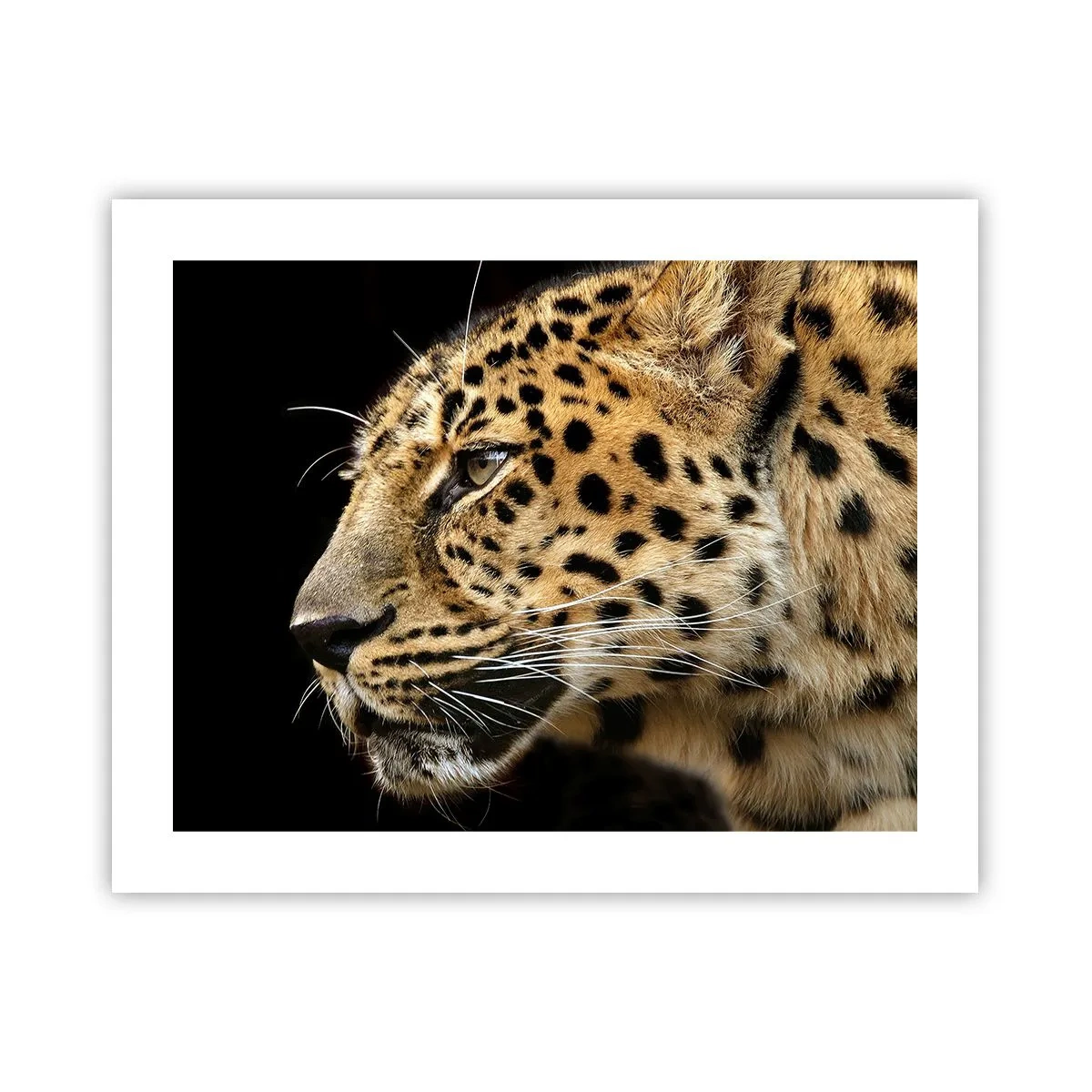 Póster - Tranquilo, concentrado, preparado - 50x40 cm