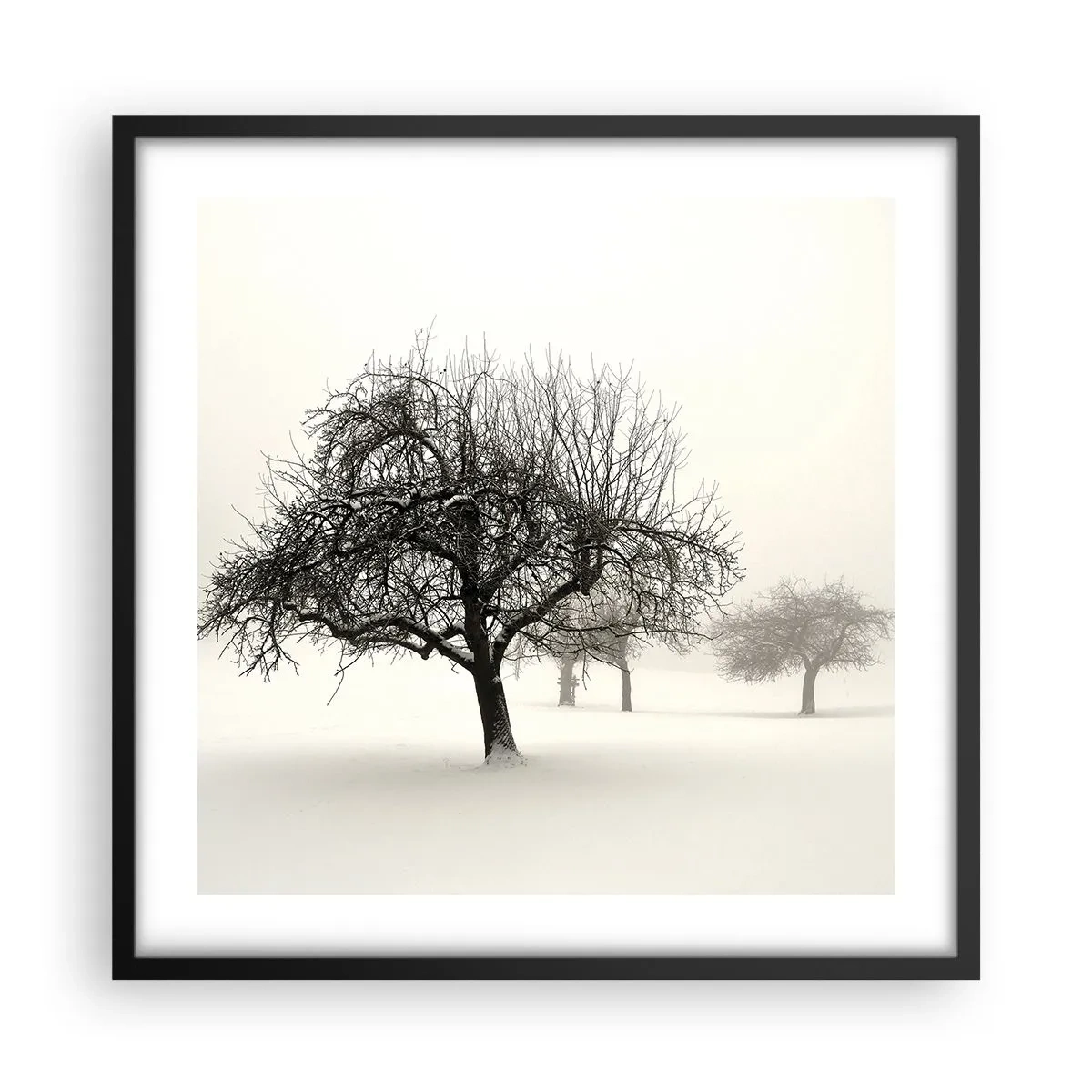 Póster en marco negro - Sueño de invierno - 50x50 cm