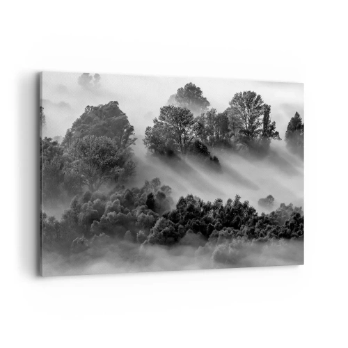 Cuadro sobre lienzo - Impresión de Imagen - Paisaje forestal en blanco y negro en la niebla matutina - 120x80cm - Levantarse del sueño - Decoración de pared moderna para salón y dormitorio ARTTOR