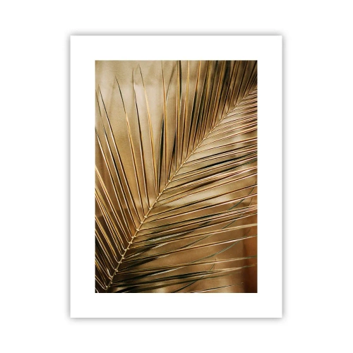 Póster - Una columnata natural - 30x40 cm