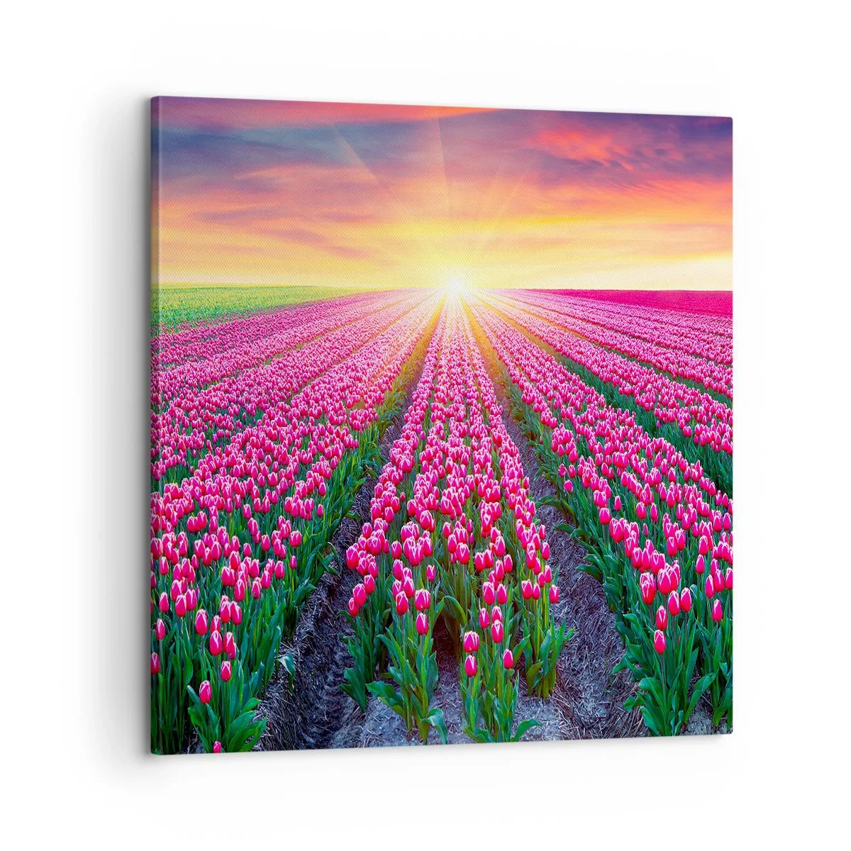 Cuadro sobre lienzo - Impresión de Imagen - Granja de belleza - 60x60 cm