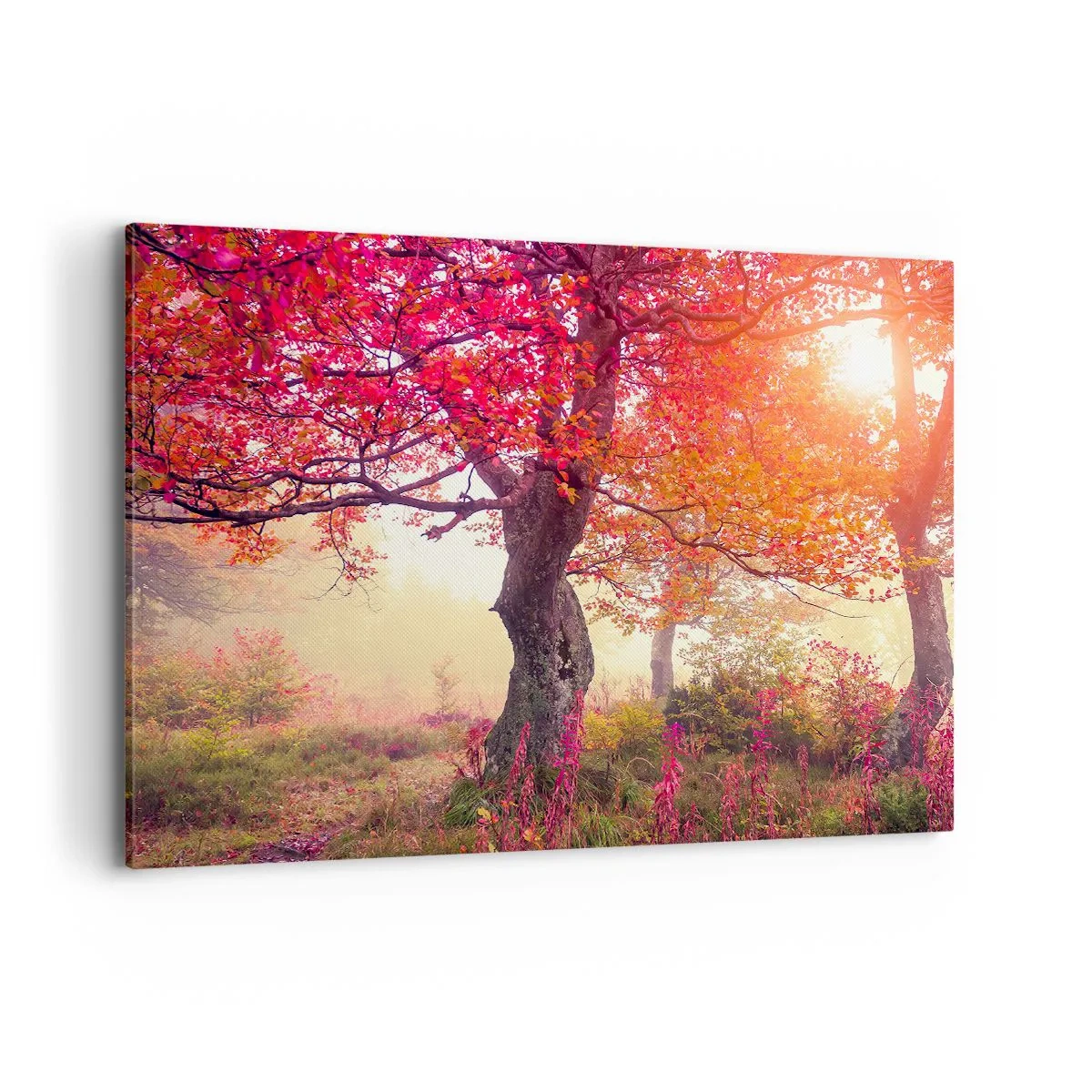 Cuadro sobre lienzo - Impresión de Imagen - Paisaje otoñal con árboles de colores intensos. - 100x70cm - Un frenesí de floración - Decoración de pared moderna para salón y dormitorio ARTTOR