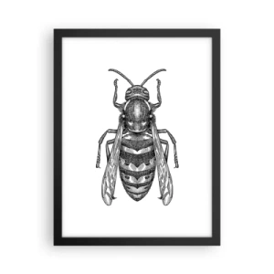 Póster en marco negro - Desde un planeta de insectos - 30x40 cm