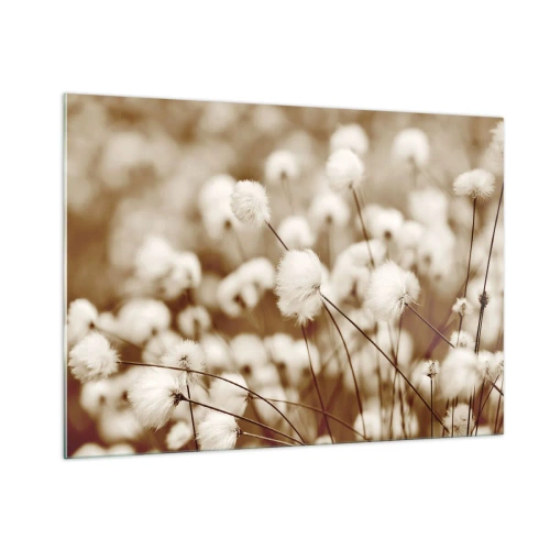 Cuadro sobre vidrio - Impresiones sobre Vidrio - Un campo de hierba esponjosa en tonos sepia. - 100x70cm - Un mullido colchón - Decoración de pared moderna para salón y dormitorio ARTTOR